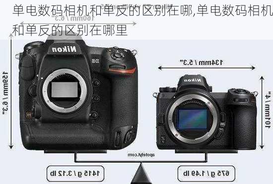 单电数码相机和单反的区别在哪,单电数码相机和单反的区别在哪里
