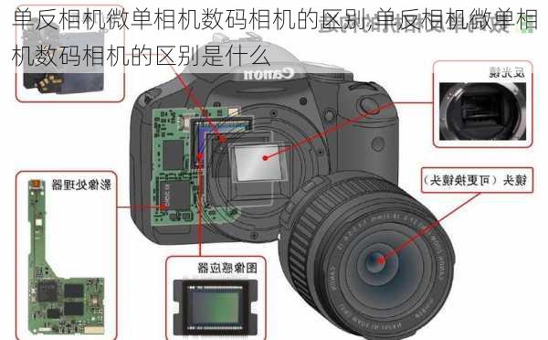 单反相机微单相机数码相机的区别,单反相机微单相机数码相机的区别是什么